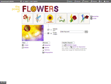 Tablet Screenshot of chromazoneflowers.com